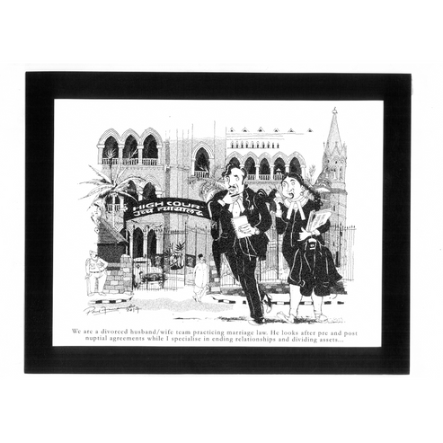 Lawyer pictures cartoon|  Couple Practicing Marriage Law | Unique lawyer gifts