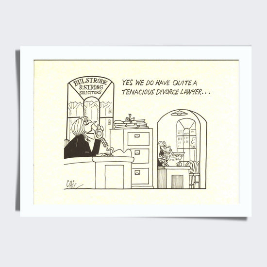 Poster - Tenacious Divorce Lawyer
