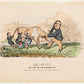 Print - The LawSuit - Canvas
