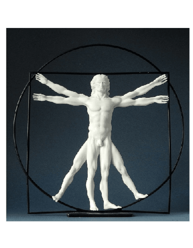 Figurine - Da Vinci'l Homme De Vitruve Man (White)