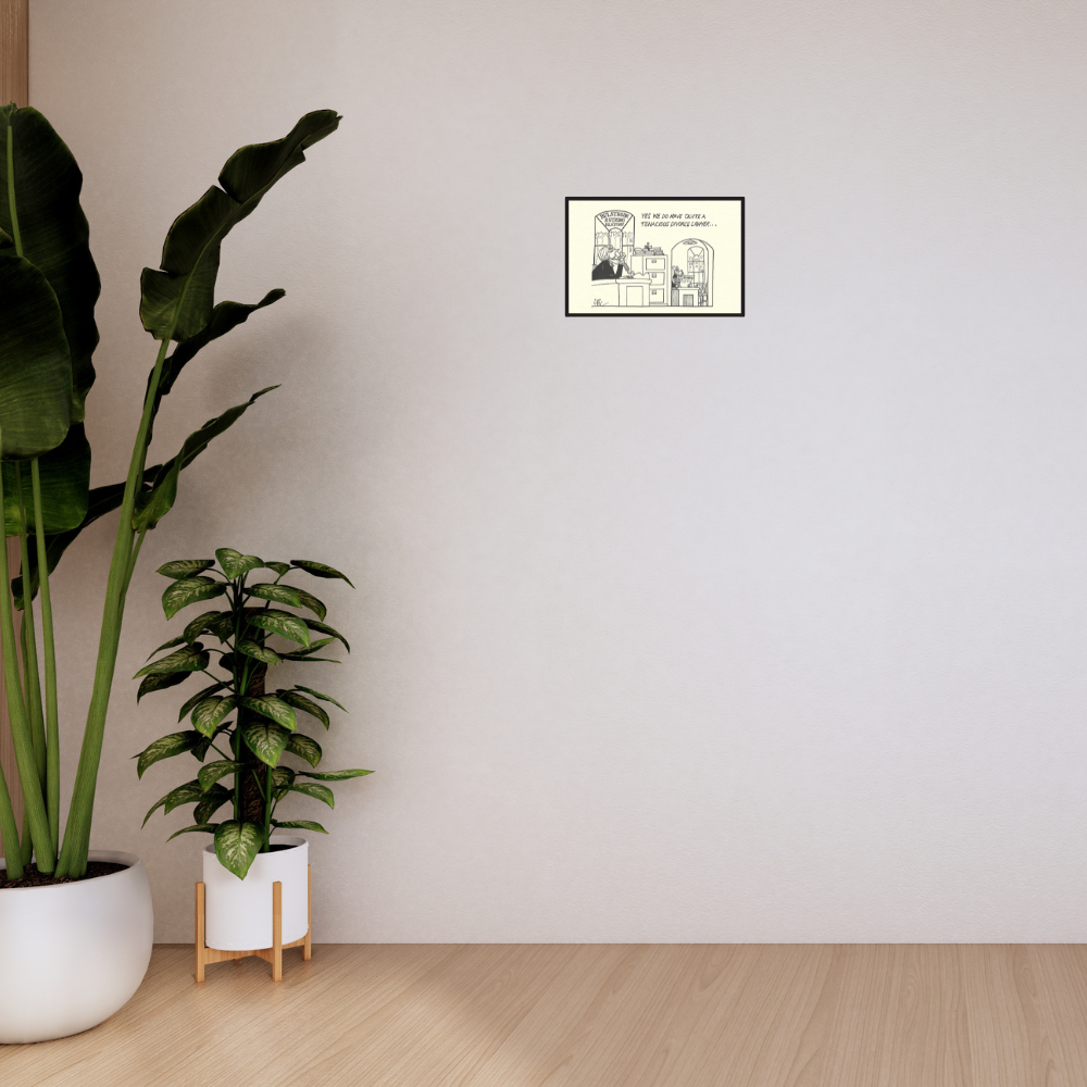 Lawyer Office Design Ideas | Lawyer pictures cartoon | Tenacious Divorce Lawyer

